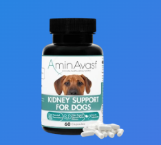 Treats for Dogs With Liver Disease: Safe, Sensible Snack Choices